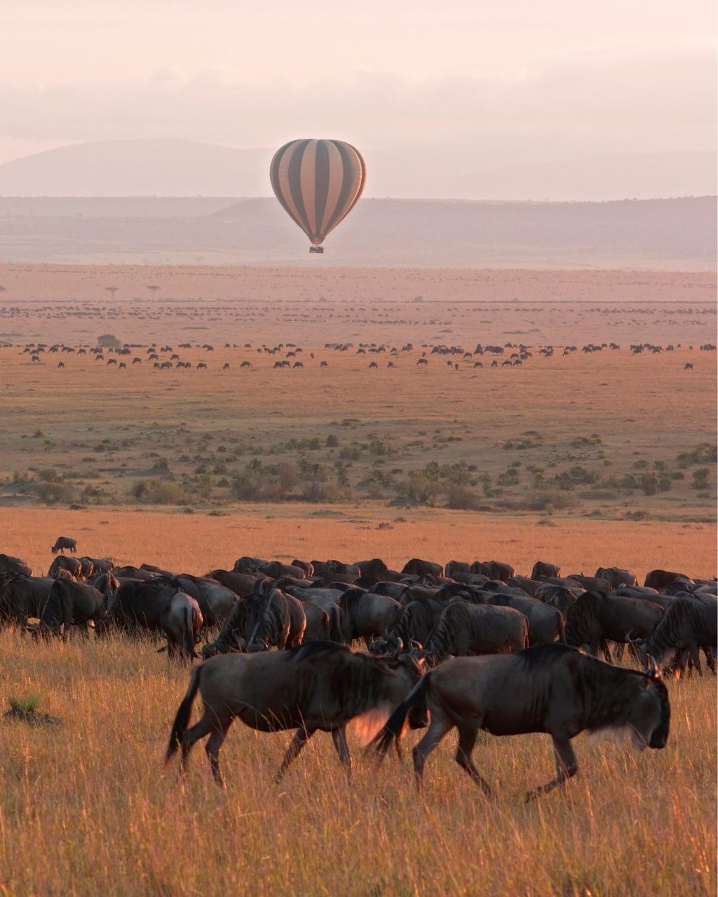 Masai Mara safari landscape