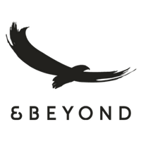 &Beyond