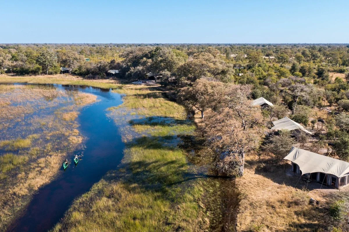 Okavango Delta Safari Guide: Top Lodges, Costs & Travel Months