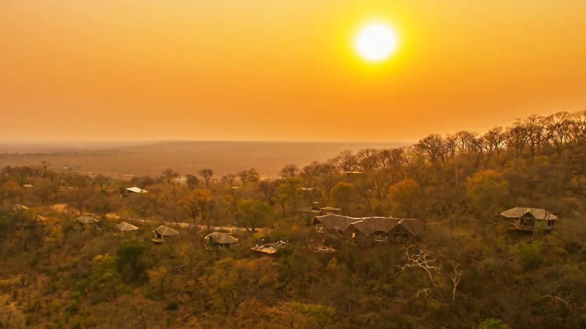 Savuti Safari