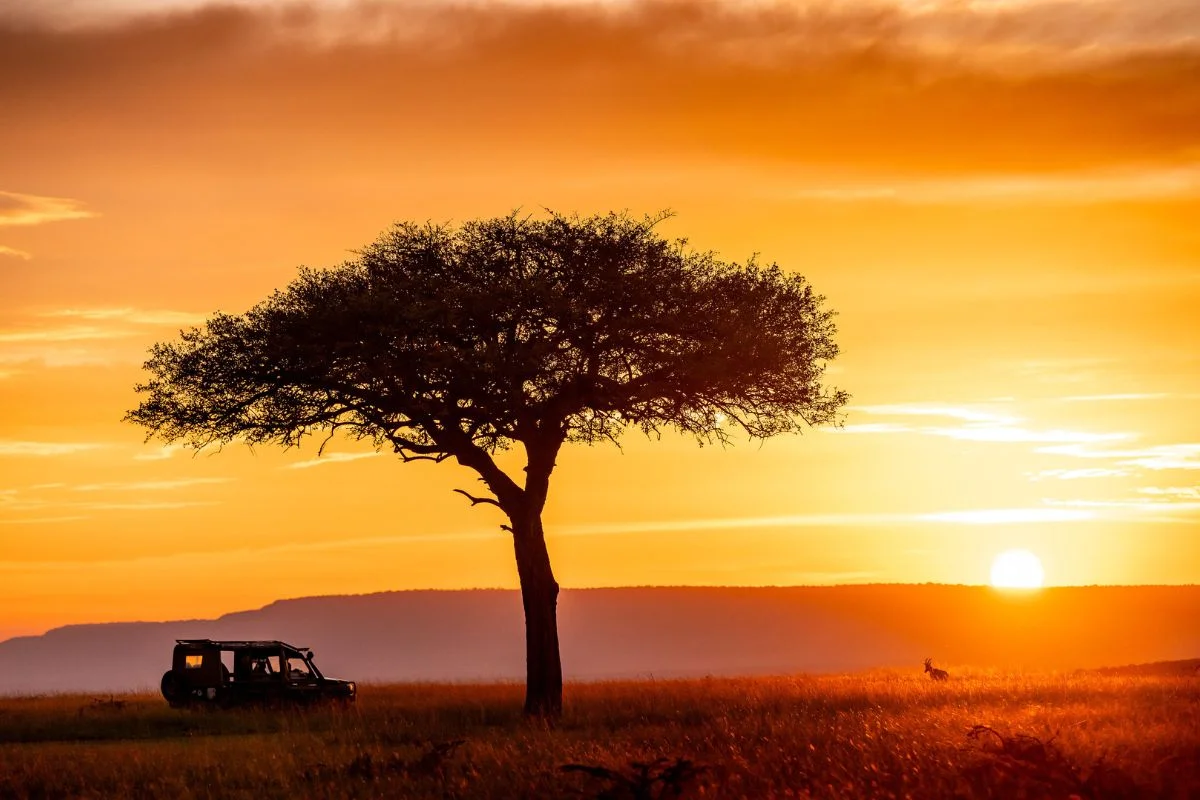 Kenya Honeymoon Safari Guide for 2026 / 2027