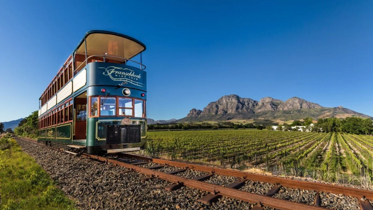 Winelands Wine Tour